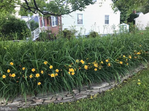 10401 Grandin Rd, Silver Spring MD 20902-3812 exterior