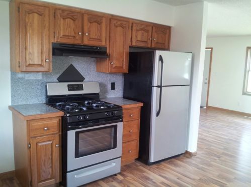 421 2nd Pl, Spring Valley IL  61362-1243 exterior