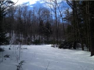 3 Stage Rd, Sanbornton, NH 03269-2500