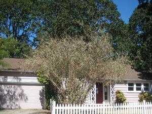 2723 Walnut St, Portland, OR 97267-1312