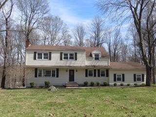 3 Deer Ct, Chester, NJ 07930-2712