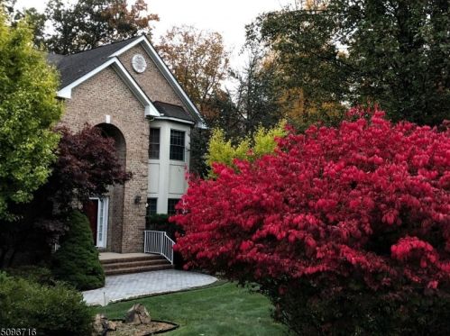 3 Darkwood Ct, Warren, NJ 07059-2705