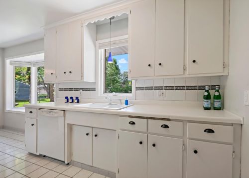 1007 Edgewater Ave, Saint Paul MN  55126-8119 exterior