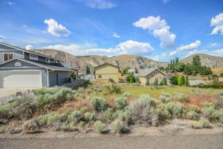 225 Marine View Dr, Orondo, WA 98843-9730