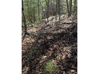 1365 Foxhound Trl, Ranger, GA 30734-7771