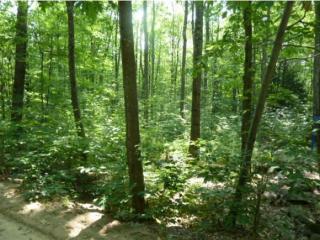 13 Nottingham Rd, Canterbury, NH 03224-2722