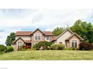 10867 Ellison Creek Dr, Concord Township, OH 44077-5928