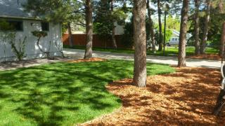 1205 Vivian St, Denver CO  80401-5922 exterior