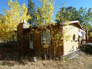 162 Timbertop Rd, Bailey, CO 80421-2222