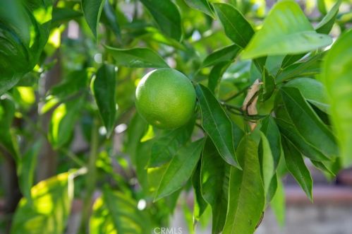 4217 Boston Ave, Glendale CA  91214-2411 exterior