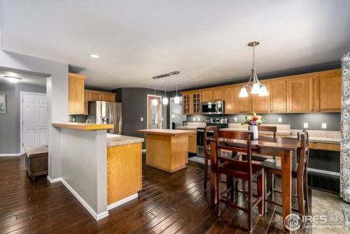 513 Idalia Ct, Fort Collins CO  80525-7011 exterior