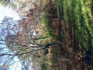 2002 Memorial Park Dr, Gainesville, GA 30504-5655