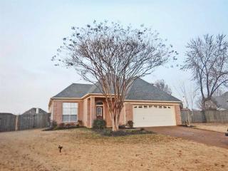 6360 Fairway View Cv, Memphis, TN 38135-9121