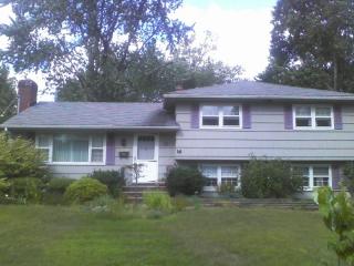 16 Brook Rd, Wyckoff, NJ 07481-2702