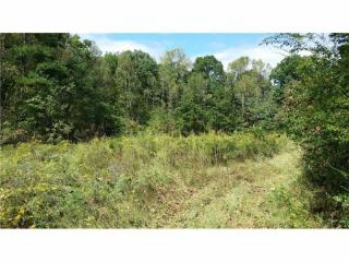 4846 Patterson Ln, Gainesville, GA 30506-2527