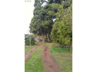 1085 Mckinley St, Woodburn, OR 97071-5009