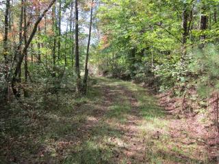 785 Grizzle Rd, Dawsonville, GA 30534-0066