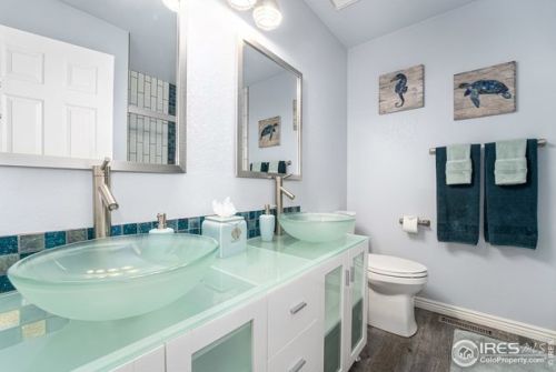 1324 Clementine Ct, Fort Collins CO  exterior