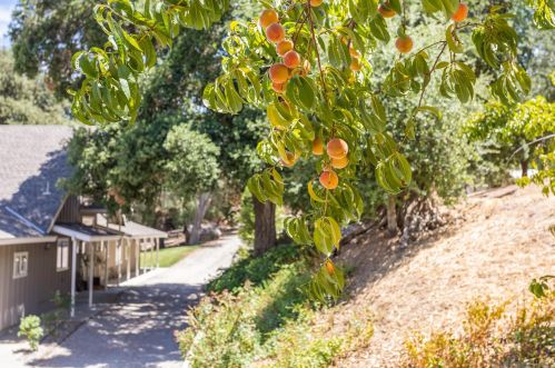 25350 Mesa Grande Rd, Santa Ysabel, CA 92070-9624