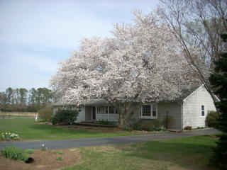 43963 Lanedon Dr, Leonardtown, MD 20650-6056