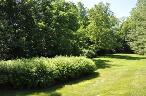97 Richards Ave, Norwalk CT  06854-1672 exterior