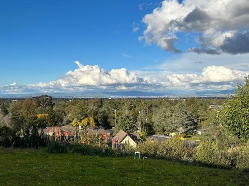 14467 Debell Rd, Los Altos CA exterior