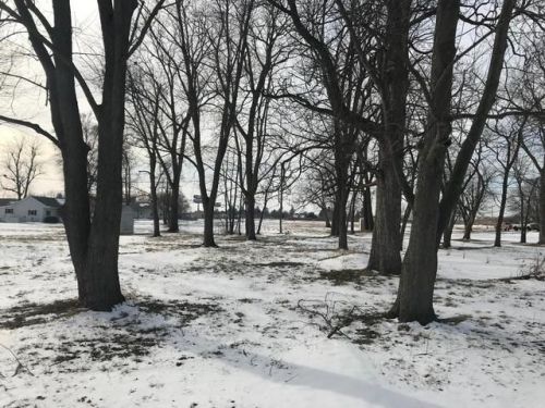 414 Lennox St, Godley, IL 60407-9031