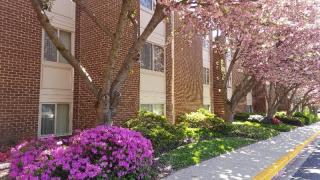 2301 Glenallan Ave, Silver Spring MD  20906-3525 exterior