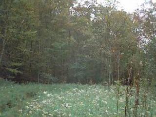 499 Laurel Run Rd, Dunmore WV  24934-9083 exterior