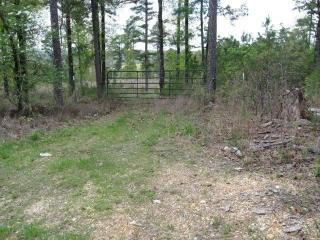 800 Boggy Point Cv, Elizabeth, AR 72531
