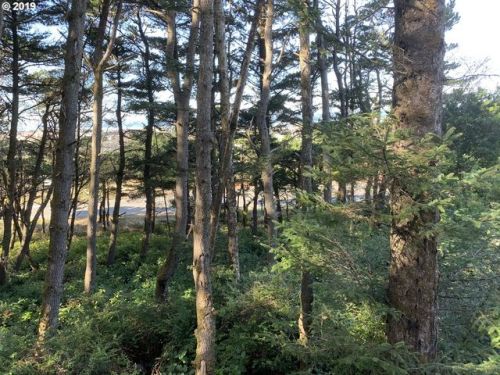 1617 Bayshore Dr, Waldport OR  97394-9435 exterior