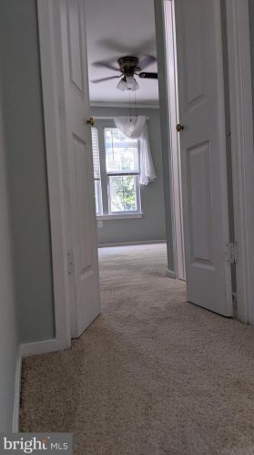 14429 Long Green Dr, Silver Spring MD 20906-2074 exterior