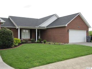 1025 Patriots Lndg, Dandridge, TN 37725-4572