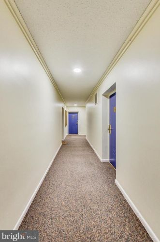 7611 Maple Ave, Silver Spring MD 20912-5559 exterior