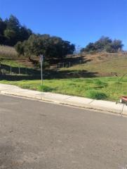 102 Orion Ct, The Geysers, CA 95425-3896