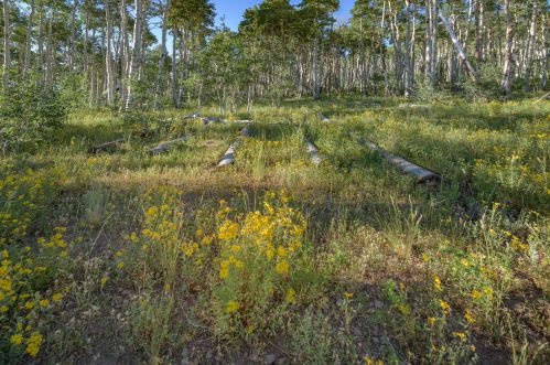 1458 6400, Cedar City UT 84720-9556 exterior