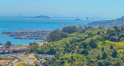 188 Stanford Ave, Mill Valley, CA 94941-3546