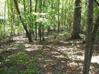 6 Frigate Dr, Salem, SC 29676-4414
