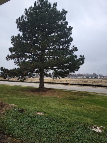 447 Sullivan Cir, Lemont IL  60440-2093 exterior