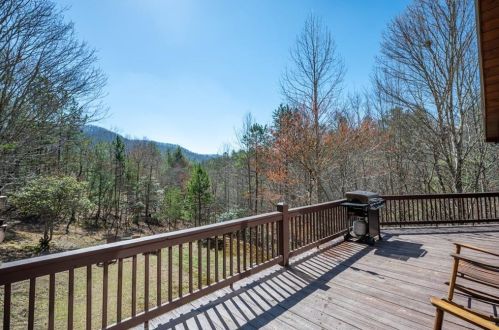 324 Copperhead Trl, Mineral Bluff, GA 30559-3062
