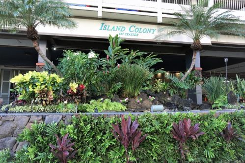 445 Seaside Ave, Honolulu HI  96815-2640 exterior