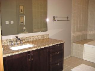 1533 Commodore Ct, Schaumburg IL  60193-5450 exterior