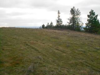 15711 Dalton Rd, Spokane WA  99208-8728 exterior