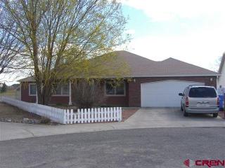 625 Hillsborough Ct, Montrose, CO 81401-5100