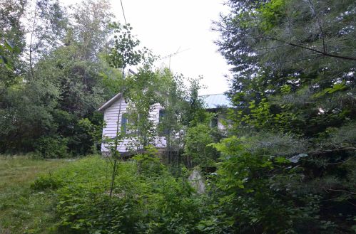 129 Newbury Rd, Bradford, NH 03221-6506