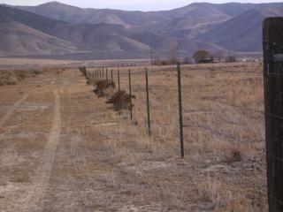 1400 Van Diest Rd, Winnemucca, NV 89445