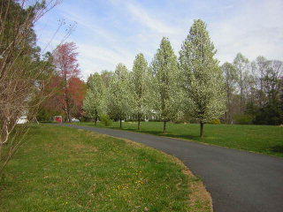 51 Clark Ln, Kilmarnock, VA 22482-9586