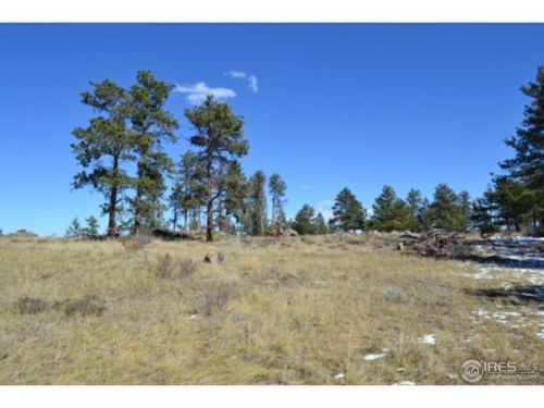 160 Manhead Mountain Ct, Red Feather Lakes, CO 80536