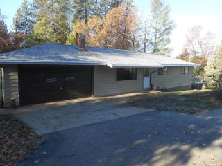 4300 Harness Tract Rd, Snowline Camp, CA 95709-9755