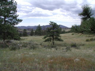504 Mount Blanc Rd, Red Feather Lakes, CO